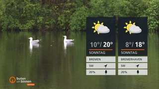 Zwei Möwen schwimmen auf einem grünen Teich in Bremen. 