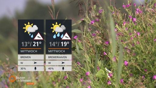 Die Wettertafeln vor einer blühenden Wiese.