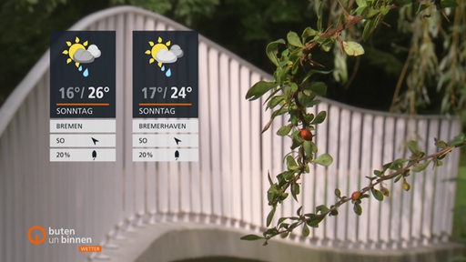 Zwei Wettertafeln auf der linken Seite mit einer Brücke im Hintergrund und zwei Äste, die rechts ins Bild ragen