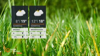 Die Wetterkacheln im Vordergrund und dahinter ist Gras zu sehen.