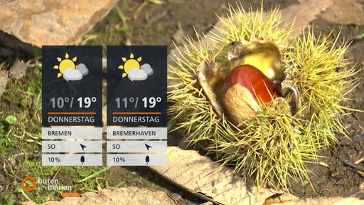 Links im Bild sind die Wettertafeln und rechts daneben eine aufgeplatzte Kastanie.