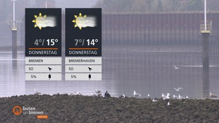 Zwei Wettertafeln und im Hintergrund ein Hafen mit Möwen.