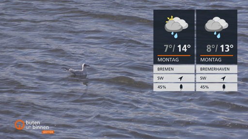 Eine Möwe schwimmt auf einer Wasserfläche, rechts daneben die Wettertafeln.