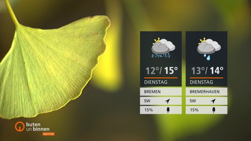 Die Wetterkacheln rechts im Bild und links ist eine Blume zu sehen.