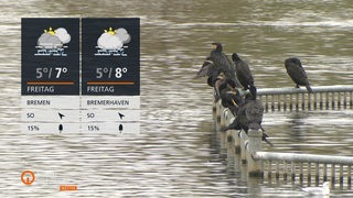 Zwei Wettertafeln und im Hintergrund sind Vögel im Wasser 