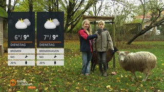 Zwei Kinder moderieren das Wetter aus einem Schaf-Gehege. Links im Bild die Wettertafel.