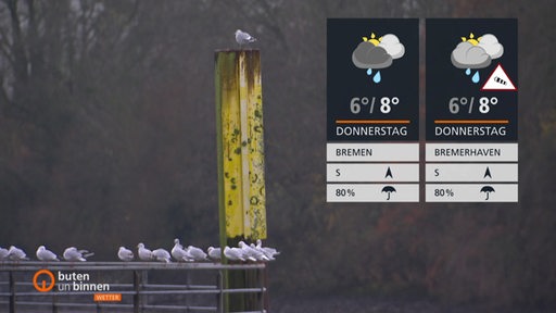 Die Wetterkacheln, dahinter Möwen auf einem Geländer