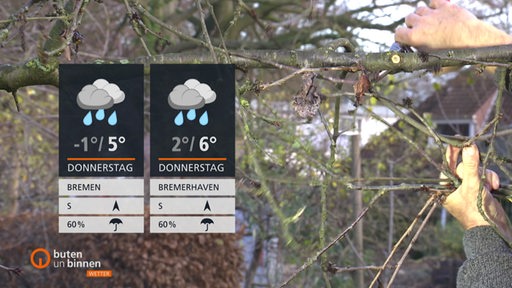 Wettertafeln und im Hintergrund sind kahle Äste und Häuser