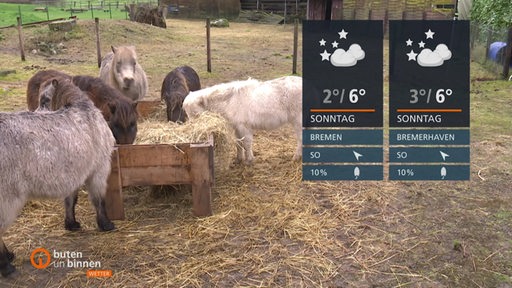 Wettertafeln vor einem Tierstall mit mehreren Ponnys