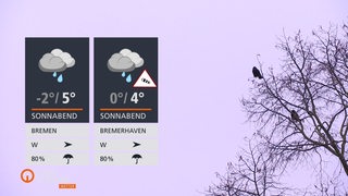 Ein trister grauer Winter-Himmel. Rechts im Bild ein kahler Baum mit Krähen in den Ästen. Links die Wettertafel.