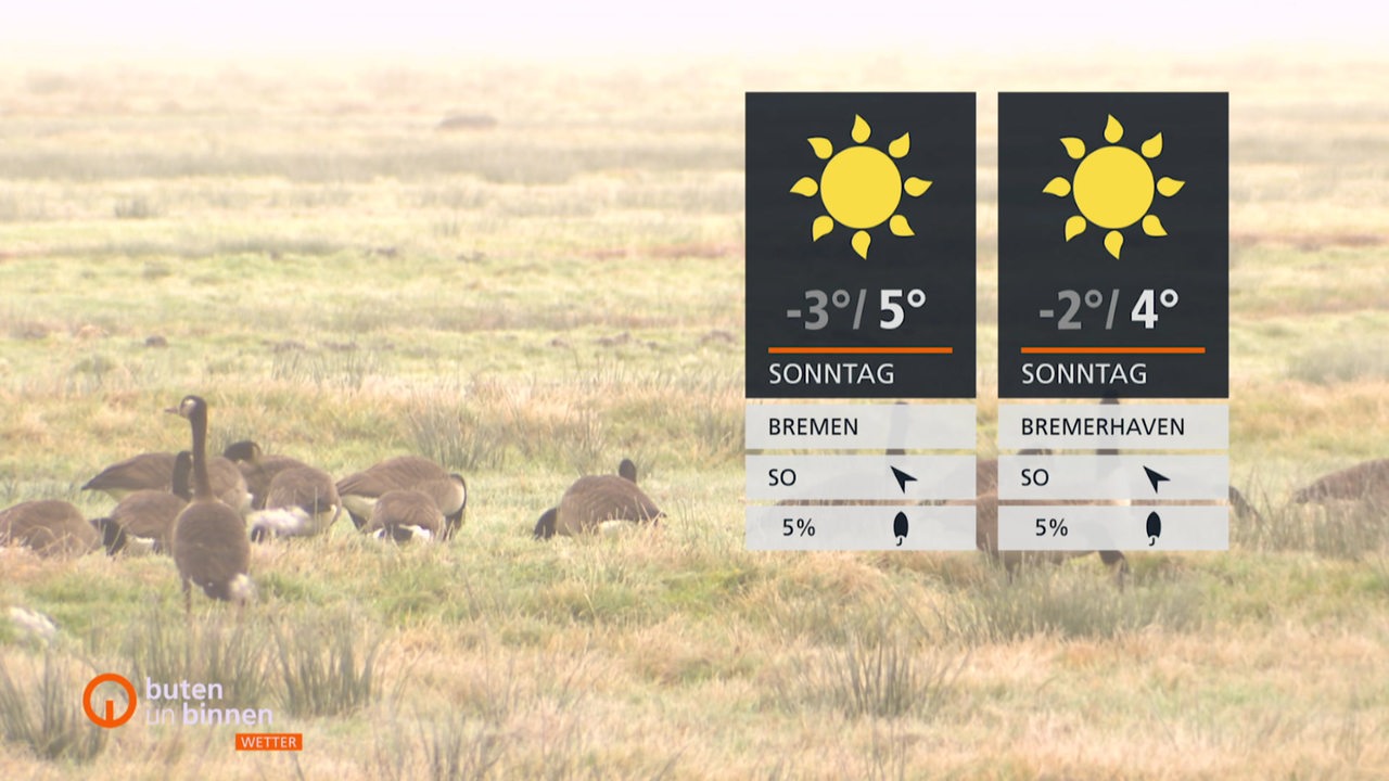 Das-Wetter-f-r-den-19-Januar