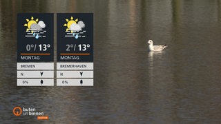 Die Wetterkacheln vor einem Gewässer, auf dem eine Möwe schwimmt.