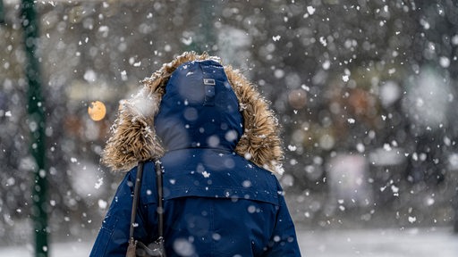 Eine Person mit Fellkaputze an der Winterjacke geht durch dichtes Schneegestöber.