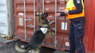Ein Hund und eine uniformierte Person stehen an einem Container.
